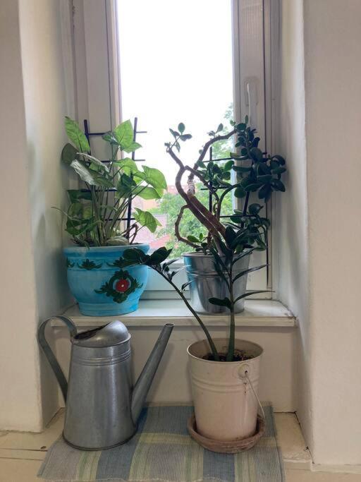 Appartement Oh Lola! à Belgrade Extérieur photo